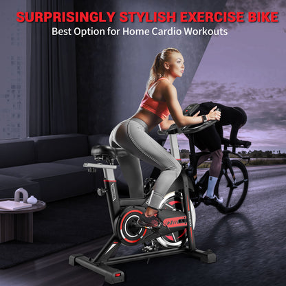 DMASUN Magnetic Resistance/Brake Pad Exercise Bike, Indoor Cycling Bike Stationary, Cycle Bike with Comfortable Seat Cushion, Digital Display with Pulse, Pad Holder